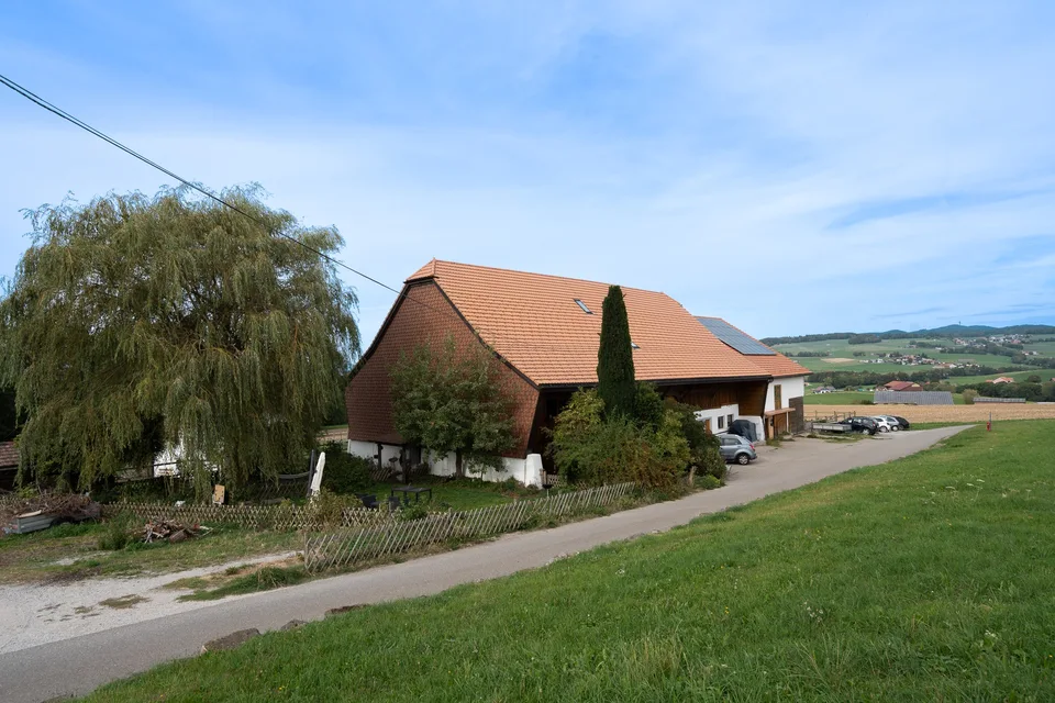 PFERDEBETRIEB MIT 6 WOHNUNGEN UND EINEM GRUNDSTÜCK VON 10'474 M² – Foto 2 von 13