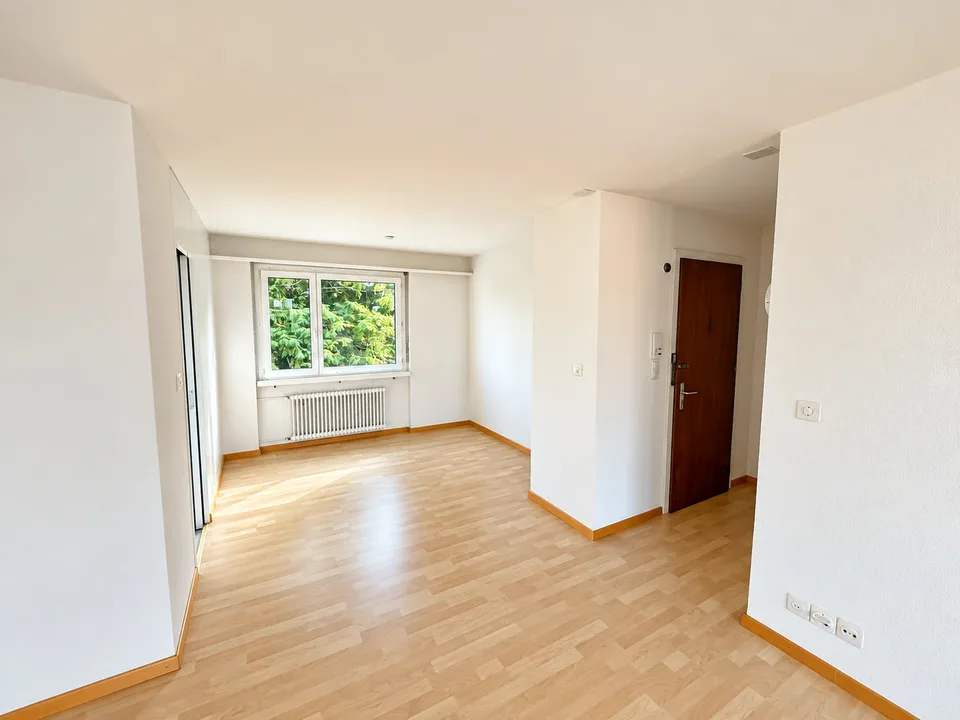 Bright Living with a View of Lake Constance – photo 5 of 14
