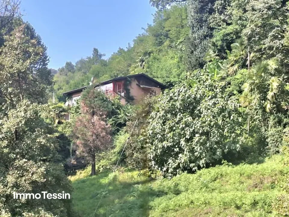 Wohnen inmitten der Natur mit traumhafter Aussicht in die Tessiner Bergwelt und Aussenpool – Foto 3 von 13