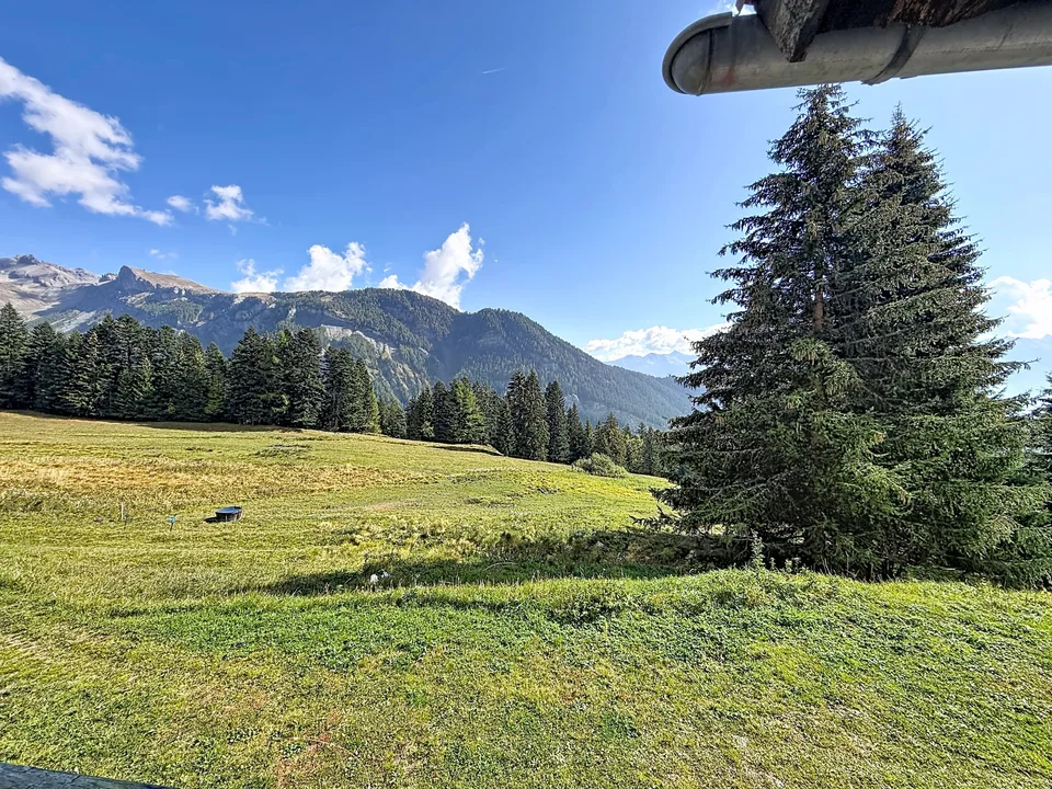 2.5 Zimmer Chalet in Ayent – Foto 6 von 6