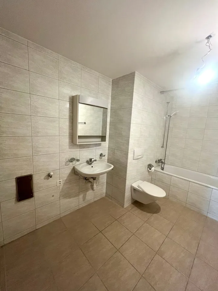 Ampio appartamento di 4,5 stanze in una posizione tranquilla con una vista fantastica – foto 13 di 13
