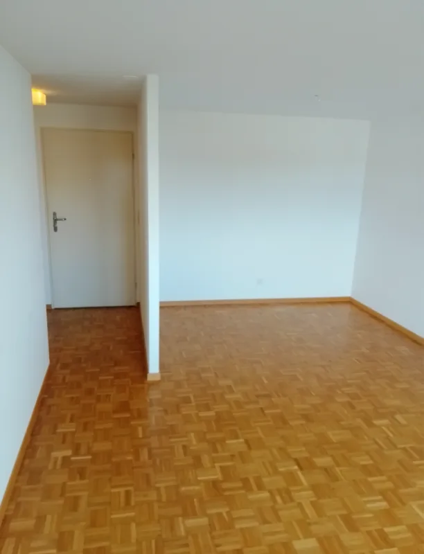 Charmante 1.5-Zimmer-Wohnung in Bronschhofen – Foto 4 von 5