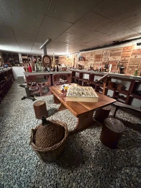 Charmante Villa zur Miete in Losone – Foto 10 von 16