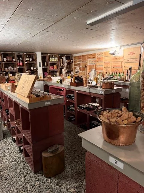 Charmante Villa zur Miete in Losone – Foto 12 von 16