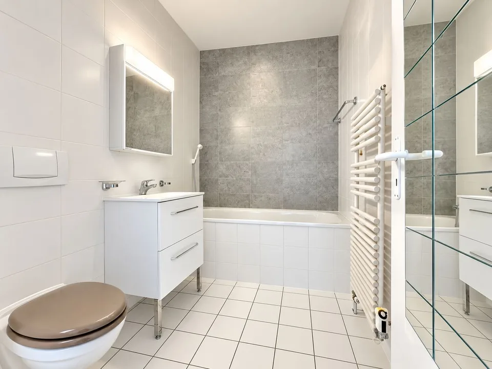 Appartamento spazioso con 4 camere a Petit Sacconex – foto 9 di 13