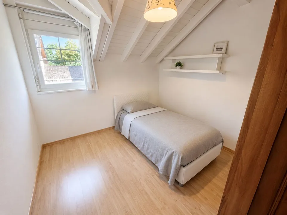 Carouge - Maison familiale avec jardin, sous-sol aménagé et garage double – photo 7 sur 13