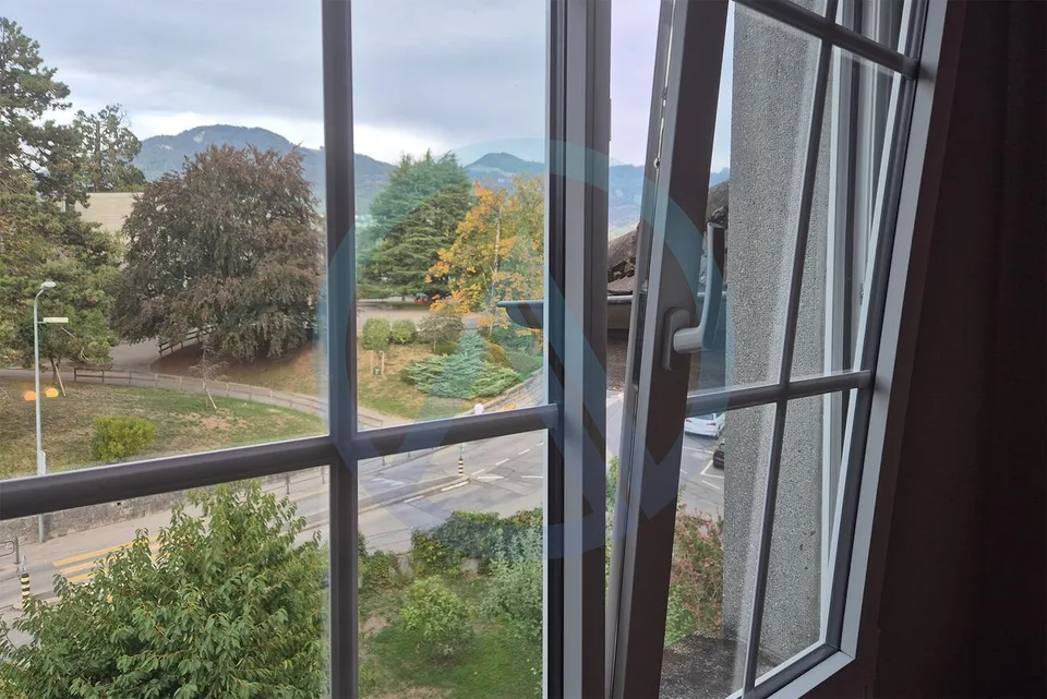 Immeuble de rendement d'exception - La Tour-de-Peilz – photo 11 sur 13