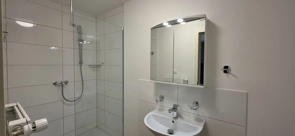 13.5 Zimmer Einfamilienhaus in Zofingen – Foto 8 von 13