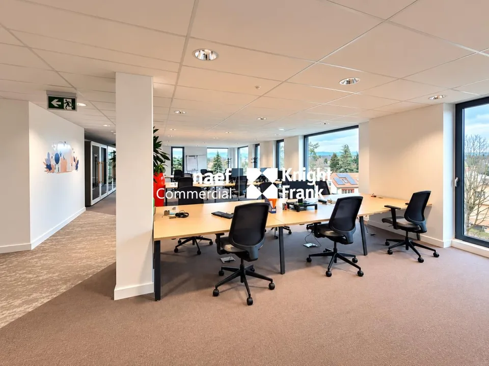 Thônex - Superficie commerciale di 303 m² in un edificio recente – foto 2 di 10