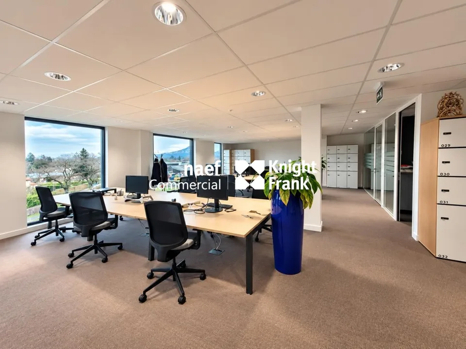 Thônex - Superficie commerciale di 303 m² in un edificio recente – foto 3 di 10