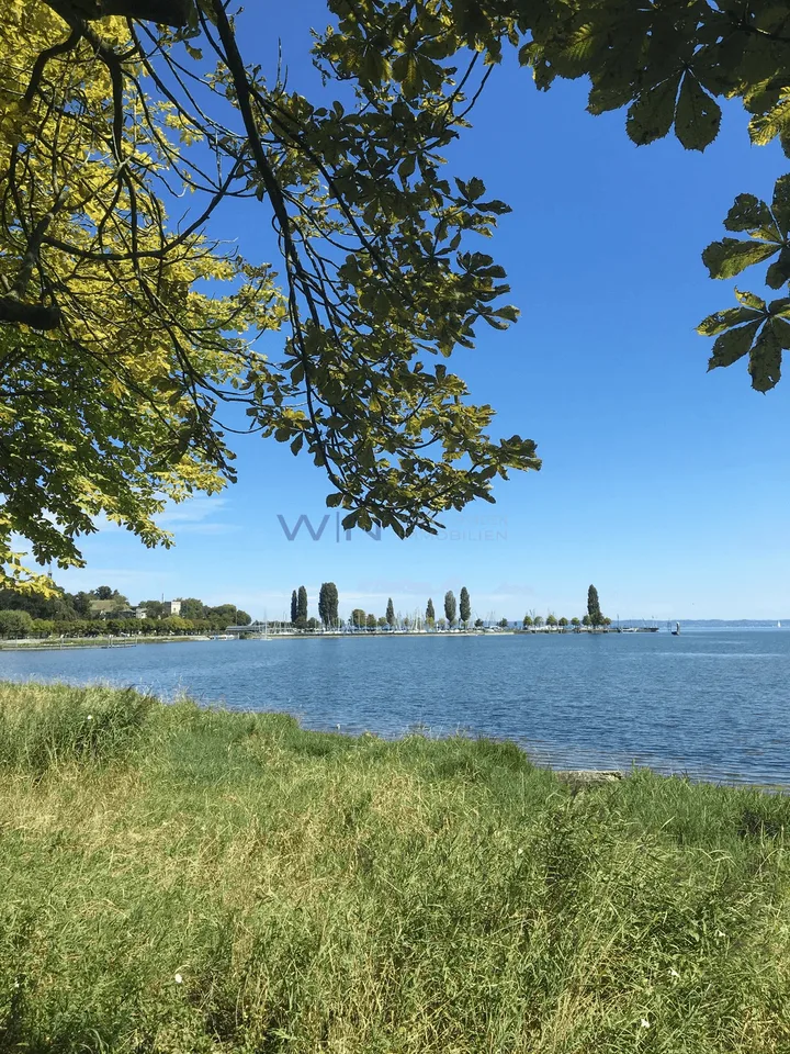 Tiny House au bord du lac de Constance – photo 2 sur 8
