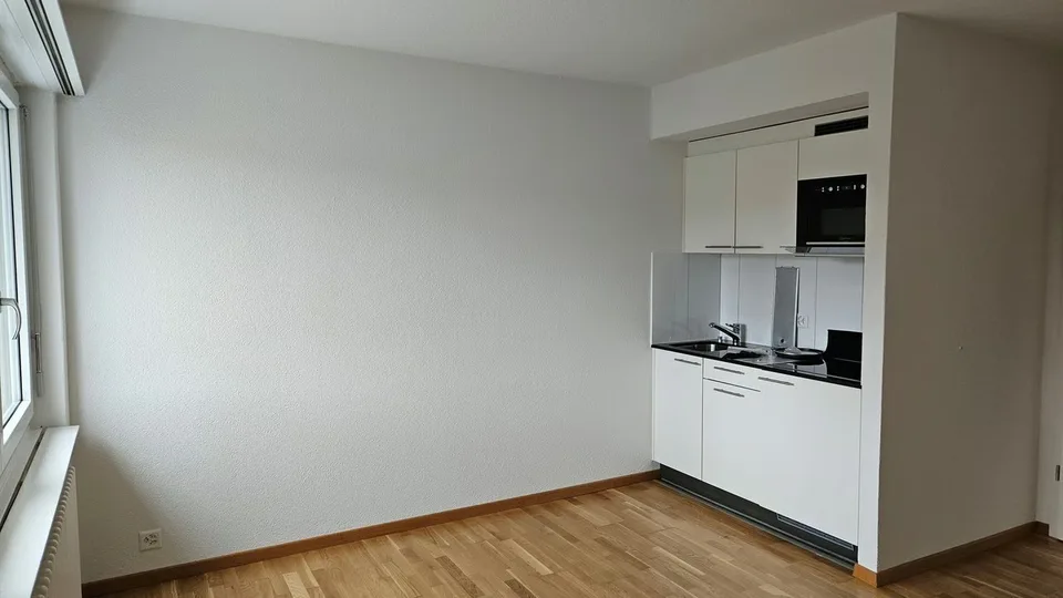 Living in the City of Brugg AG – photo 4 of 9