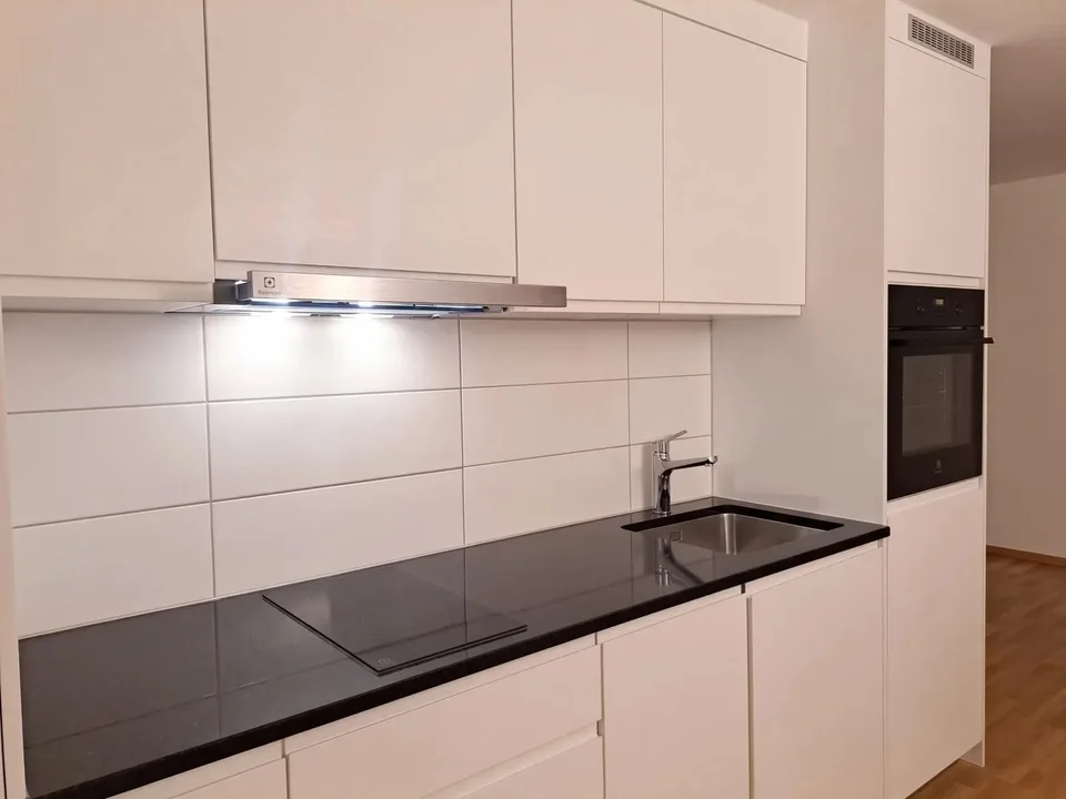 Monolocale arredato 1.5 con terrazza in affitto a Fahrweid. – foto 3 di 9