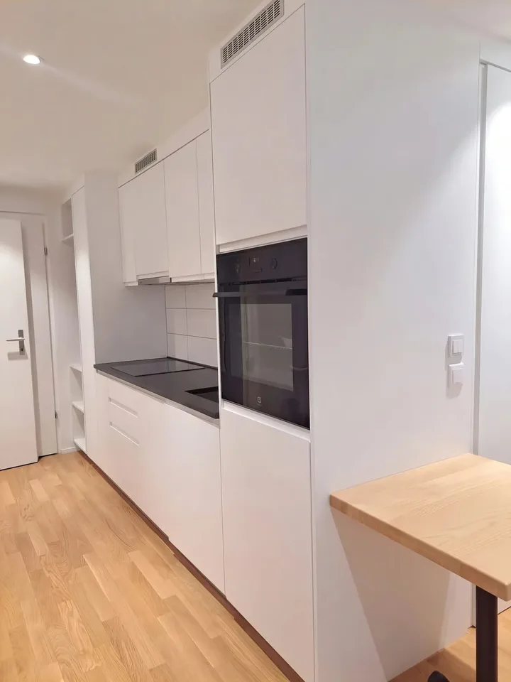 Monolocale arredato 1.5 con terrazza in affitto a Fahrweid. – foto 2 di 9