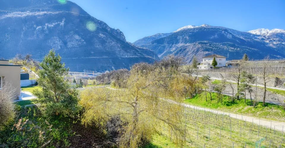ESCLUSIVITÀ Spazioso appartamento 4 ½ locali vicino al centro – foto 10 di 11