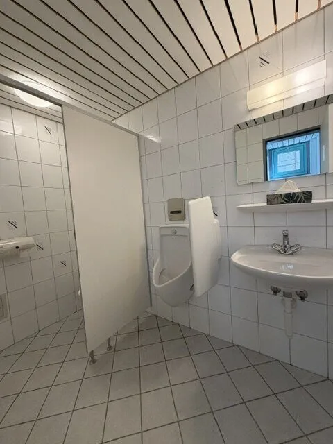 Surface commerciale de ~80 m²au rez à vendre à Bassecourt – photo 8 sur 10