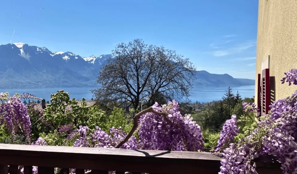 Maison de charme à Brent avec une magnifique vue sur le lac Léman – photo 8 sur 10