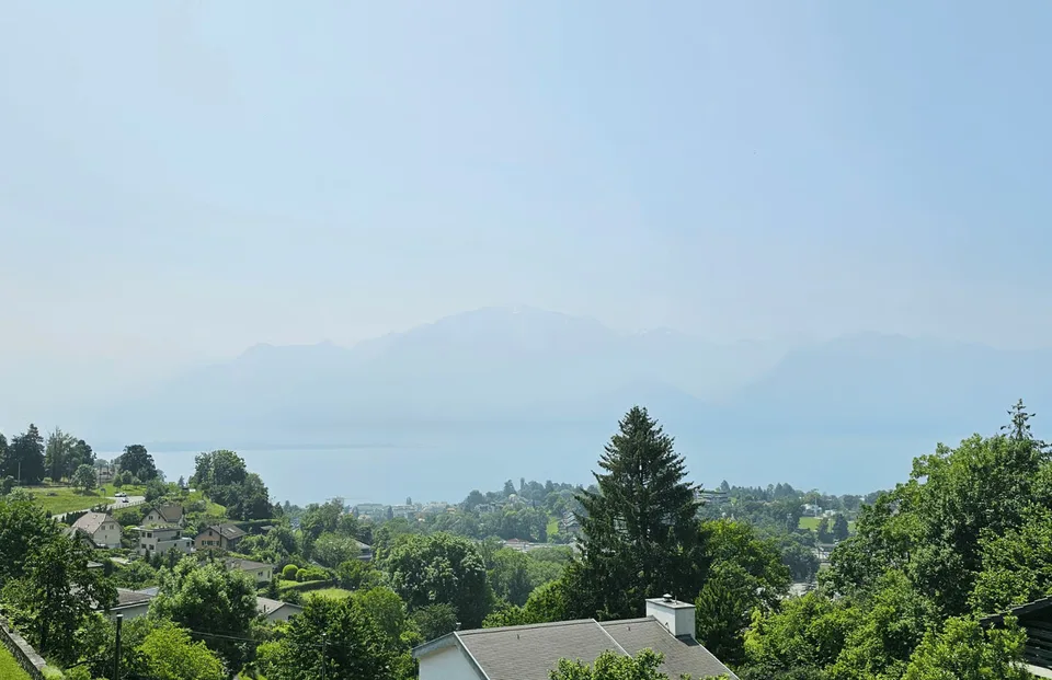 Maison de charme à Brent avec une magnifique vue sur le lac Léman – photo 9 sur 10