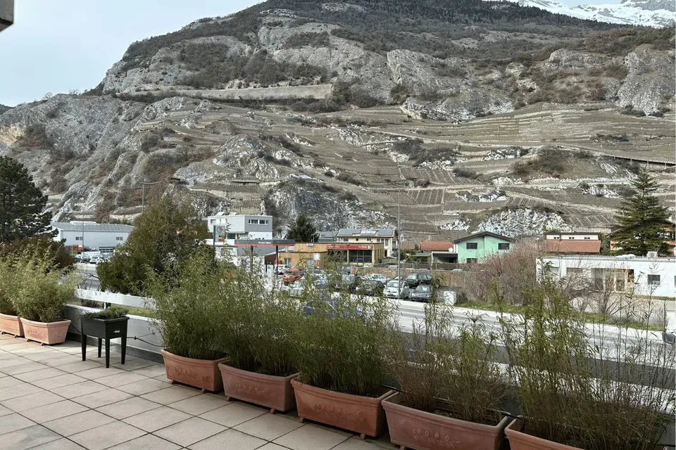 Viager - Opportunité d’investissement avec cet appartement avec terrasse à Ardon (VS) – photo 2 sur 8