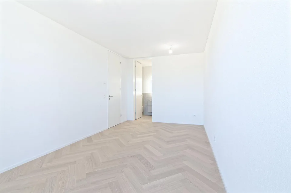 Erstbezug grosse 4.5-Zimmer-Eigentumswohnung mit Lift und Terrasse – Foto 7 von 23