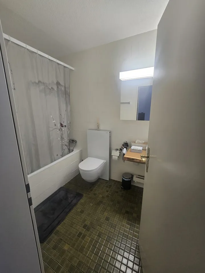 Vivre avec beaucoup d'espace et de confort à Riehen – photo 11 sur 13