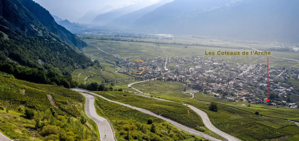 ATTIQUE DE 4,5 PCES NEW PROMOTION - LE VIGNOBLE DE L'ARCHE – photo 6 sur 13
