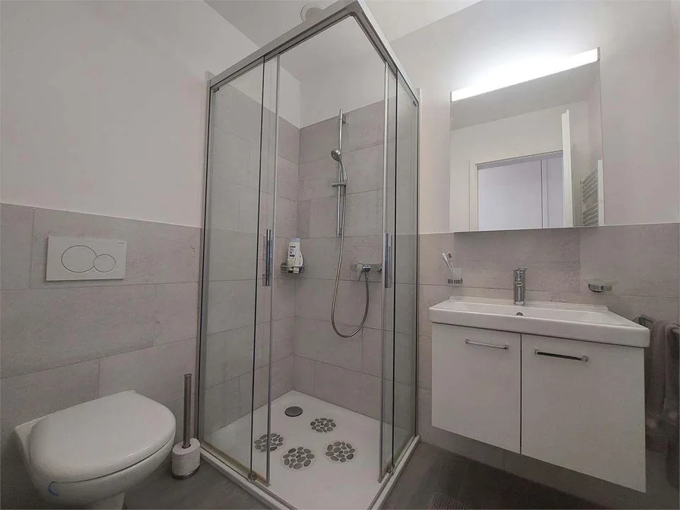 Appartement spacieux de 3,5 pièces avec jardin privé à Barbengo – photo 11 sur 13