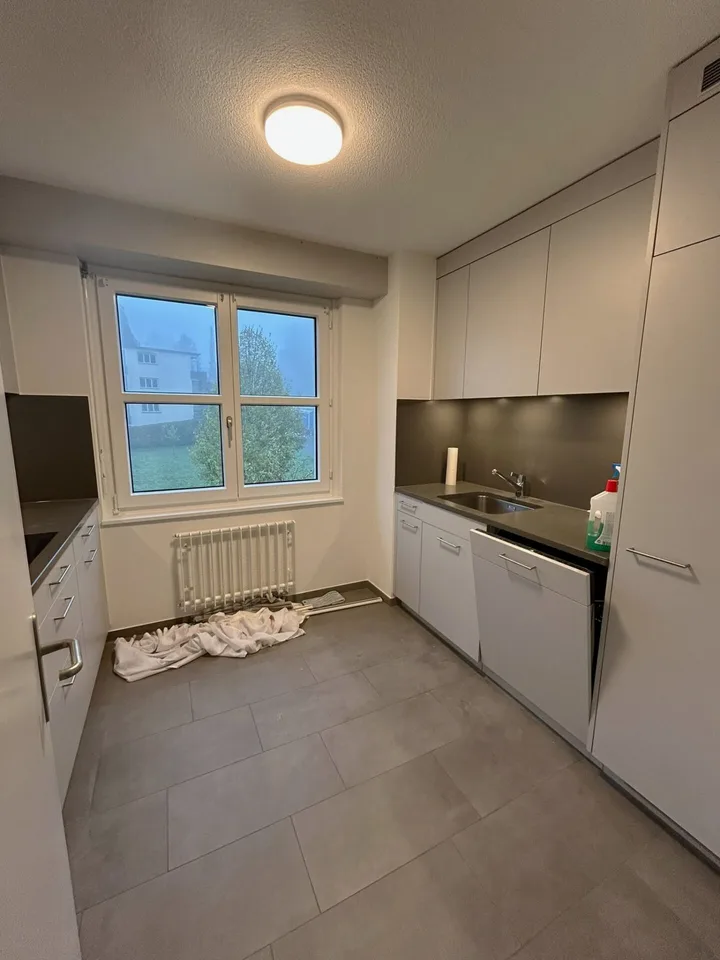 Vivere a Wollishofen: appartamento di 5,5 stanze appena ristrutturato – foto 8 di 14