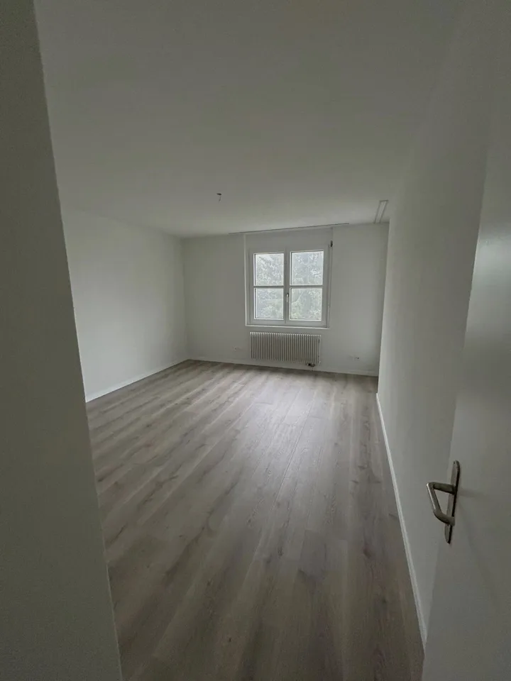 Vivere a Wollishofen: appartamento di 5,5 stanze appena ristrutturato – foto 12 di 14
