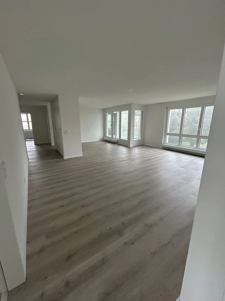 Vivere a Wollishofen: appartamento di 5,5 stanze appena ristrutturato – foto 2 di 14