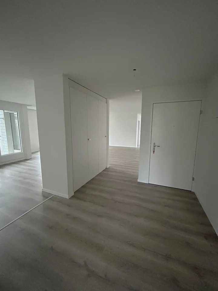 Vivere a Wollishofen: appartamento di 5,5 stanze appena ristrutturato – foto 3 di 14