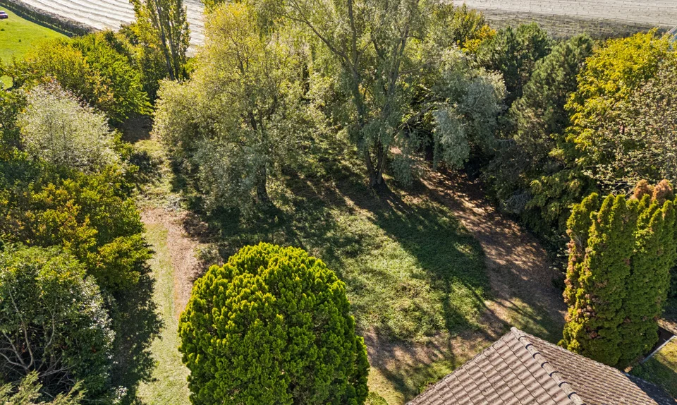 Einmalige Rarität am Bodensee – exklusives Seegrundstück in Kesswil – Foto 9 von 11