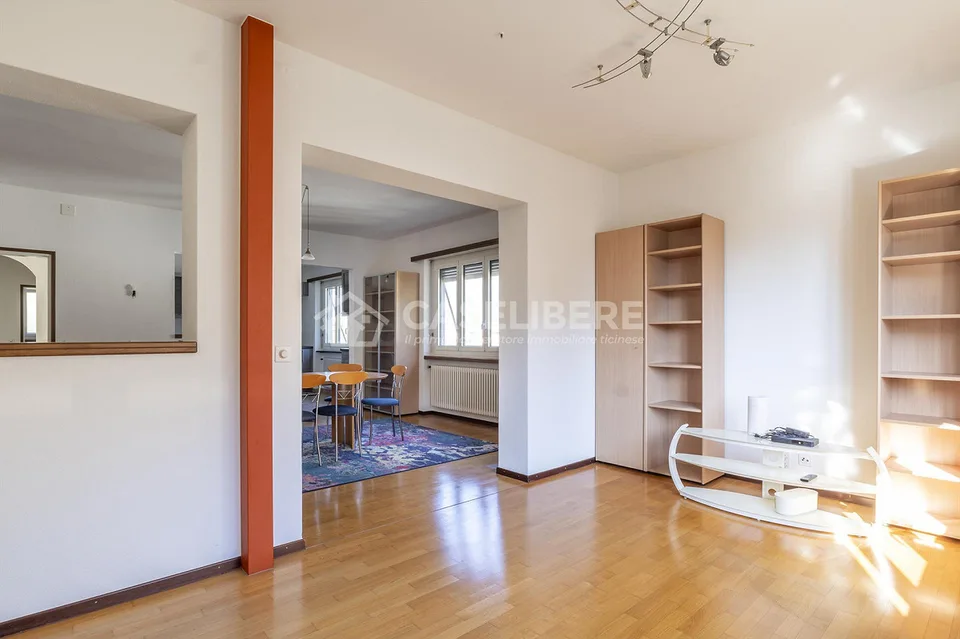 SPACIOUS AND BRIGHT 4.5 ROOMS IN BELLINZONA (GALBISIO) – photo 4 of 21