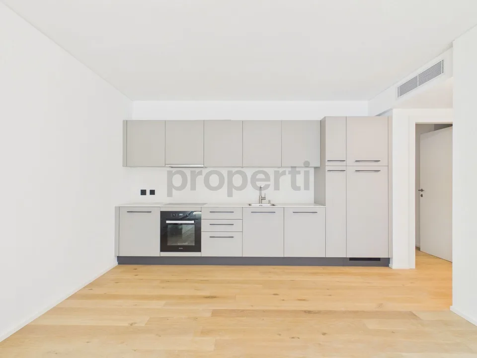 Modern 2.5 room apartment with cellar, Paradiso – photo 4 of 11