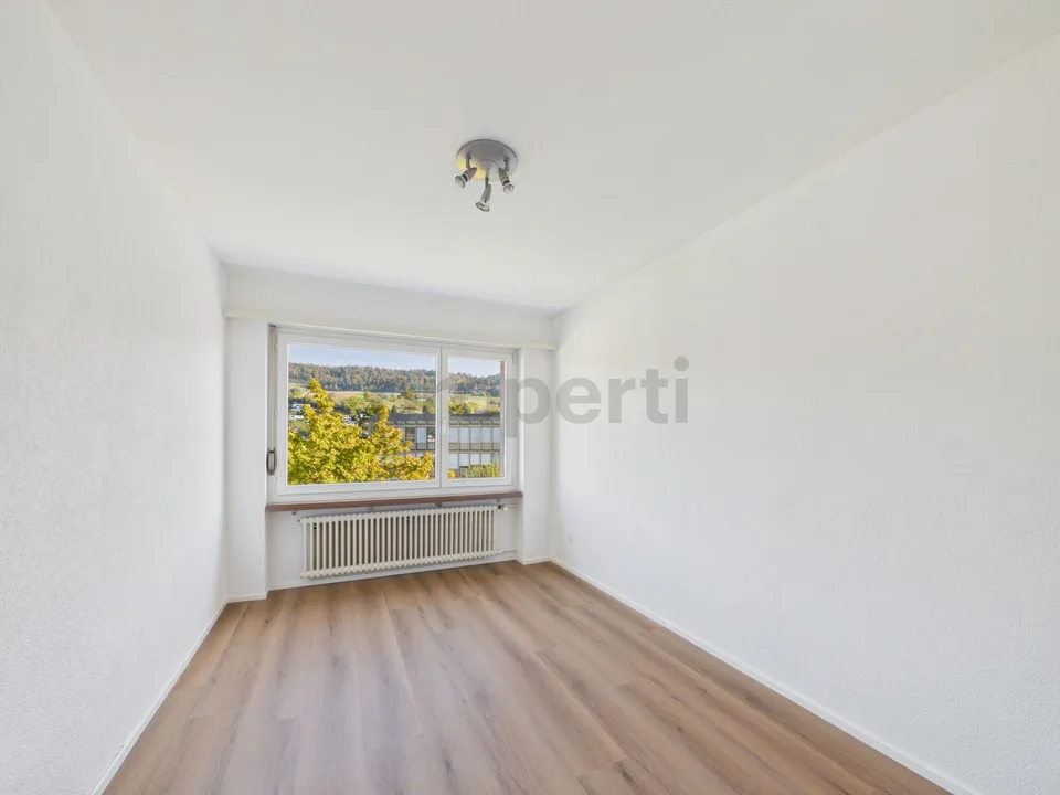 Appartamento 4.5/5.5 camere con terrazza privata sul tetto di 120 m² con padiglione vetrato, camino, balcone sud e posto auto sotterraneo! – foto 6 di 13