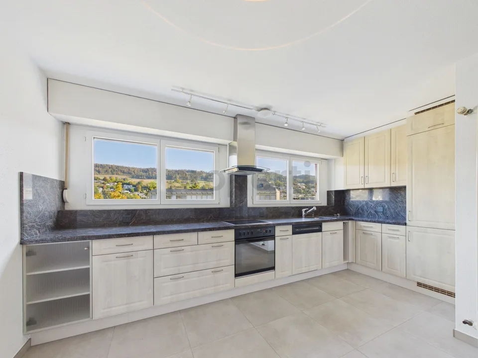 Appartamento 4.5/5.5 camere con terrazza privata sul tetto di 120 m² con padiglione vetrato, camino, balcone sud e posto auto sotterraneo! – foto 4 di 13