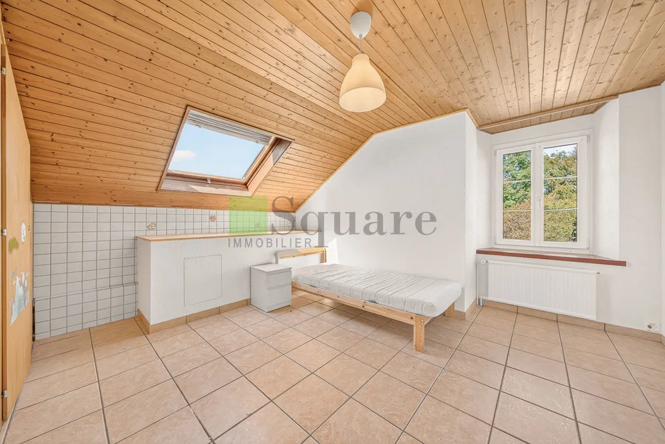 Rental House with 12 Rooms – photo 4 of 15