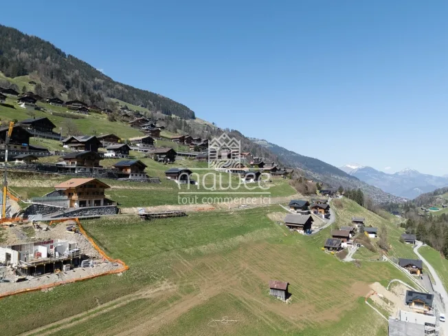 5.5 Zimmer Chalet in Val-d'Illiez – Foto 11 von 28