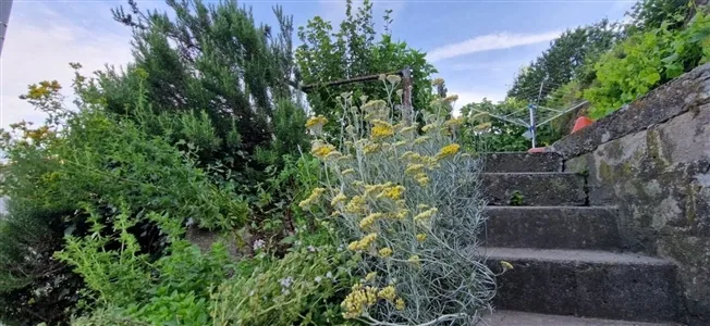 4.5 Zimmer Einfamilienhaus in Gams – photo 7 of 9