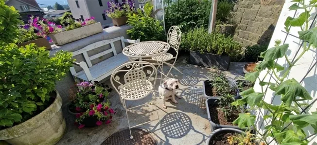 4.5 Zimmer Einfamilienhaus in Gams – photo 8 of 9