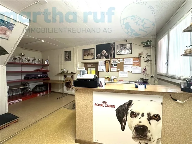 6 Zimmer Einfamilienhaus in Interlaken – photo 15 of 19