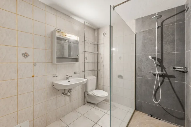 Spacious 5.5-room apartment – photo 8 of 36