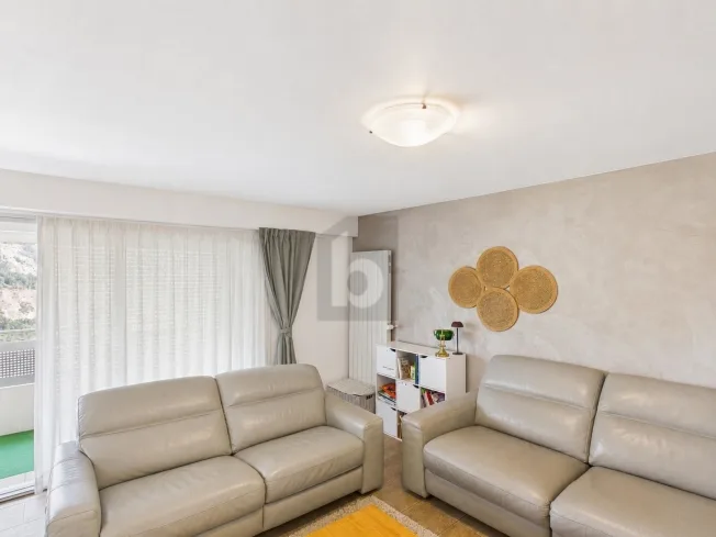 ATTIQUE AVEC BALCON ET GRENIER AMÉNAGEABLE – Foto 2 von 9