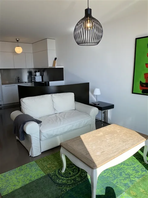 2.5 Zimmer möbl. Wohnobjekt in Lausanne – Foto 3 von 10