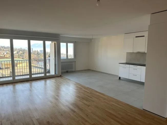 3.5 Zimmer Wohnung, 1010 Lausanne