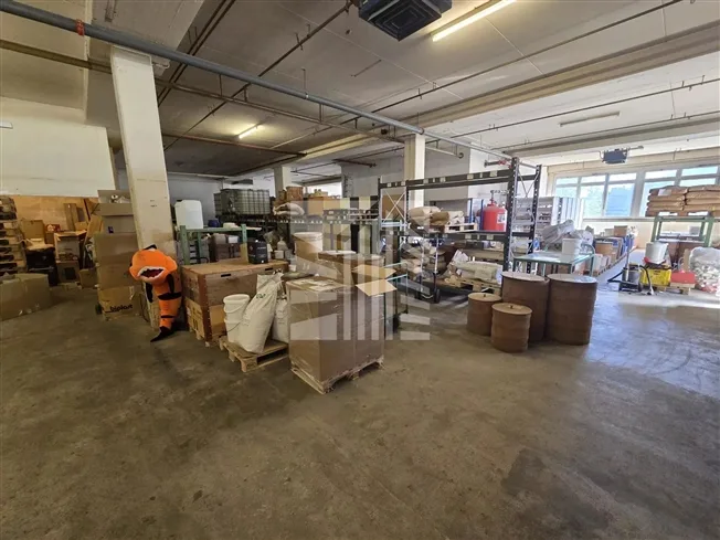 Wohnung in Ecublens VD – Foto 5 von 13