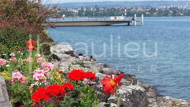 4.5 Zimmer möbl. Wohnobjekt, 1110 Morges