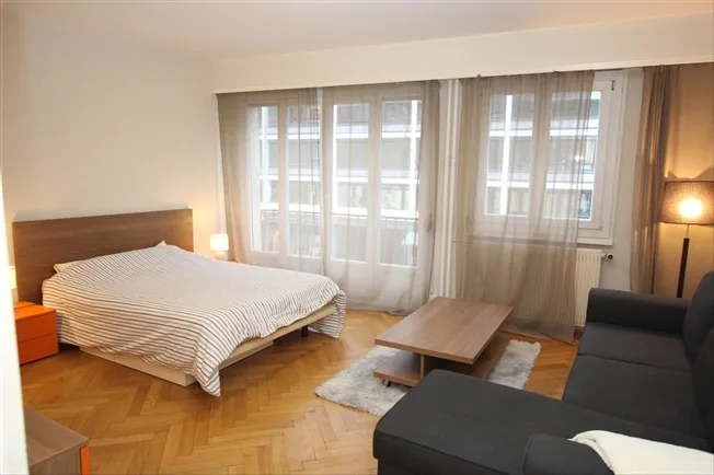 1 Zimmer möbl. Wohnobjekt, 1202 Genève