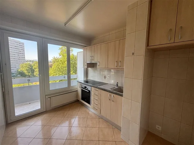 3 Zimmer Wohnung, 1212 Grand-Lancy