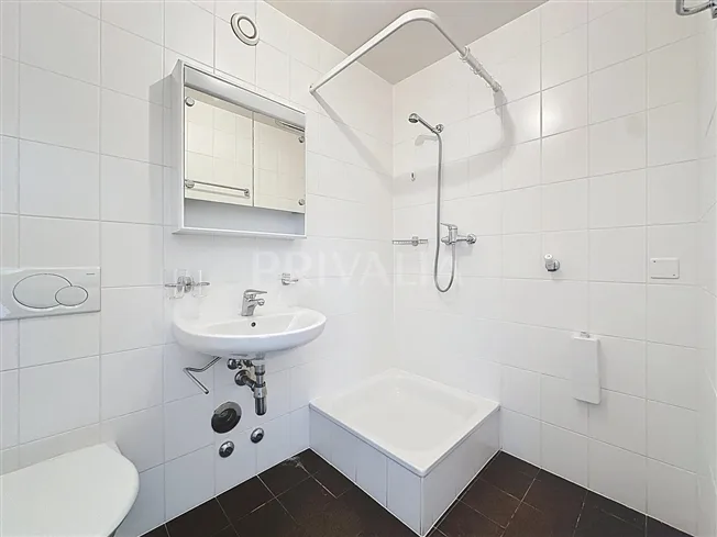 6 Zimmer Wohnung in Le Grand-Saconnex – photo 6 sur 10